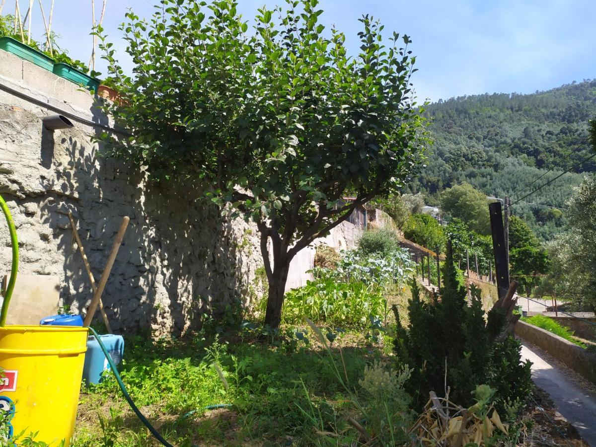 로우사 Casa Da Rota Dos Moinhos 아파트 외부 사진